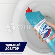 Чистящее средство Domestos 1000 мл ATLANTIC FRE