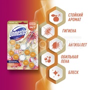 Чистящее средство Domestos Power 5 2*50 г Экзотический букет