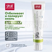 Зубная паста SPLAT Professional 100 мл Длительная Свежесть