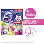 Чистящее средство Domestos 5*50г Лайм+Ледяная магнолия