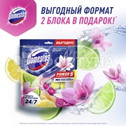 Чистящее средство Domestos 5*50г Лайм+Ледяная магнолия