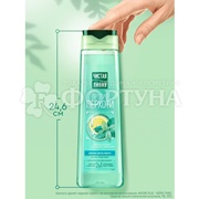 Шампунь Чистая линия 400 мл Мята Против перхоти