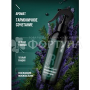 Освежитель воздуха ARLUNI  300 мл Сандал,лаван.,можжевельник спрей