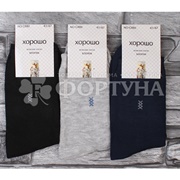 Носки Хорошо 1 пара артикул С880 р.41-47 мужские хлопок (цвета в ассортименте)