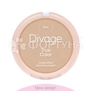 Пудра Divage True Color 04 Sand