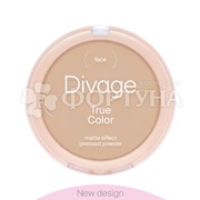 Пудра Divage True Color 04 Sand